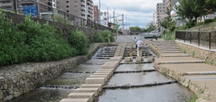 Horikawa Canal, Kyoto, Japan
